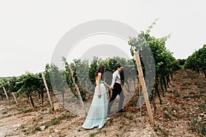 Portrait of a beautiful wedding couple