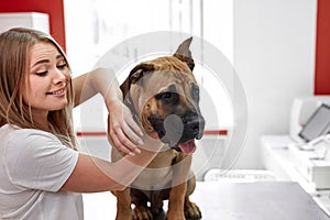 Portrait of beautiful woman with sick dog in vet hospital