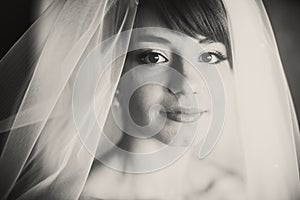 A portrait of beautiful young bride covered with a veil