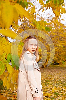 Portrait of  beautiful young girl in  autumn park