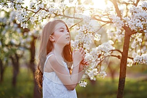 Portrait of a beautiful young girl with blue eyes in white dress in the garden with apple trees blosoming at the sunset