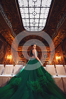 ÃÂ beautiful young girl standing in a haute couture green dress in a luxurious interior.
