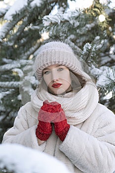 Portrait of beautiful young girl in winter in park against snowy pine trees background. Sunny winter day. Vertical frame