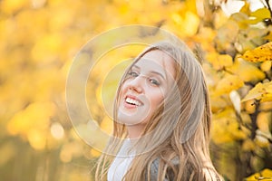 Portrait of a beautiful young woman against a background of colorful golden foliage in an autumn park