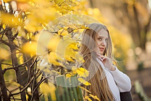 Portrait of a beautiful young woman against a background of colorful golden foliage in an autumn park
