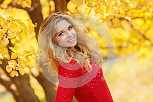 Portrait of beautiful young woman in autumn park.