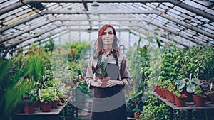 Portrait of beautiful young woman farmer in apron standing inside greenhouse, holding pot plant and smiling. Orcharding