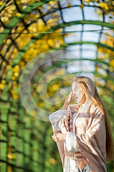 Portrait of a beautiful young woman with light brown hair on the background of a picturesque alley in an autumn park
