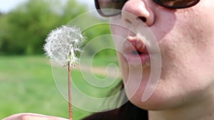 Portrait of a beautiful young woman on a summer lawn blowing on a ripe dandelion on a sunny day outdoors. Enjoy nature. Allergy fr