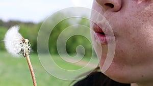 Portrait of a beautiful young woman on a summer lawn blowing on a ripe dandelion on a sunny day outdoors. Enjoy nature. Allergy fr