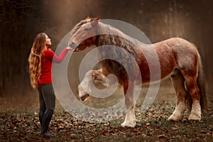 Portrait of a beautiful young woman with Tinker horse