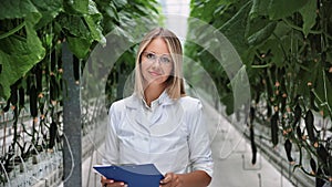 Portrait beauty woman botanist scientist gardener agronomist posing between cucumber rows greenhouse