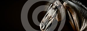 Portrait of a Black and Brown Horse on a Dark Background - Generative Ai