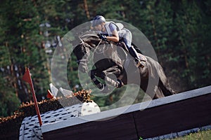 Black horse with woman rider jumping over obstacle during eventing cross country competition in summer