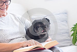 Portrait of black purebred old pug dog sitting with his senior owner on the sofa, relaxing  together at home