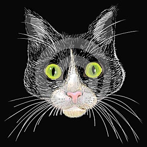 Portrait of a black and white cat with big green e