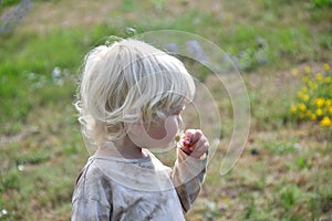 portrait of a blond little boy holding daisy flower