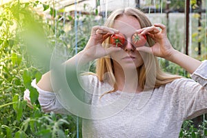 Portrait of blonde woman harvesting red ripe organic tomatoes in greenhouse and having fun. Healthy homegrown food