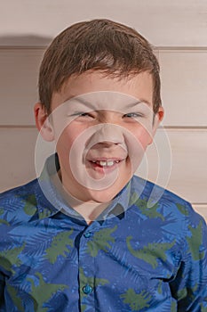 Portrait of a boy 8 years old brunette in a blue shirt. Depicts a rabbit.