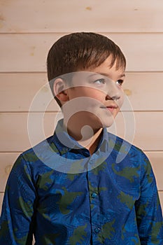 Portrait of a boy 8 years old brunette in a blue shirt. Side view.