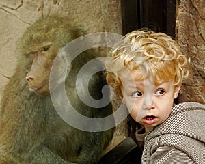 Portrait of boy and baboon photo