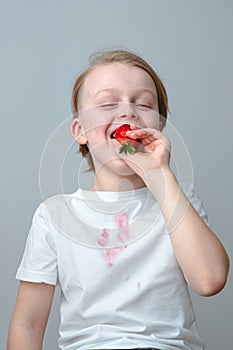 Portrait of a boy eating fresh strawberries on a gray background. isolated. Concept of cleaning stains on clothes.