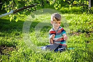 portrait of the boy in a garden, considers plants through a magnifying glass.