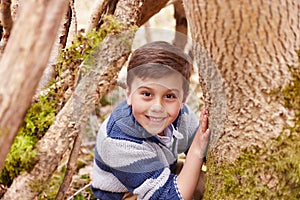 Portrait Of Boy Playing Game In Forest