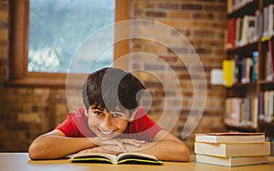 Portrait of boy reading book in library