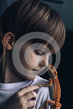 Portrait of boy with Red bearded Agama iguana. Little child playing with reptile. Selective focus