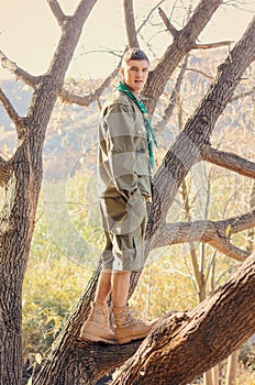 Portrait of Boy Scout Standing in Tree