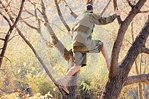 Portrait of Boy Scout Standing in Tree