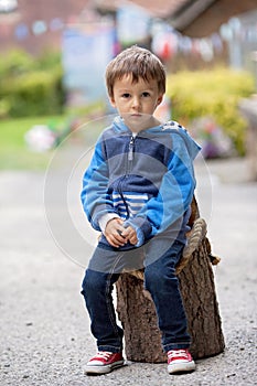 Portrait of a boy, sitting on a tree trunk