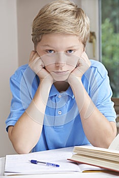 Portrait Of Boy Struggling With Homework