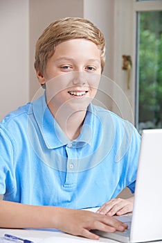 Portrait Of Boy Using Laptop At Home