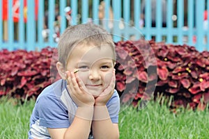 Portrait of a boy who is sitting on the grass