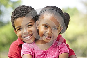 Portrait Of Brother And Sister In Park