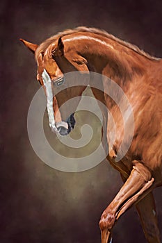 Portrait of a brown horse