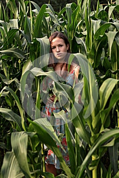 Portrait of a brunette girl among tall corn plants on a rural field in a gloomy sunset light