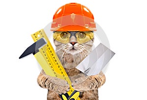 Portrait of a builder cat with tools in paws