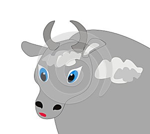Portrait of the bull