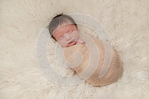 Portrait of a Bundled Up Newborn Baby Boy