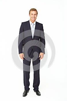 Portrait of business man in suit