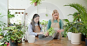 Portrait of business owner and her assistant wear uniforms, different ages and nationalities, are conversing while