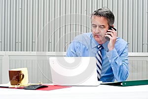 Portrait of a businessman on the phone
