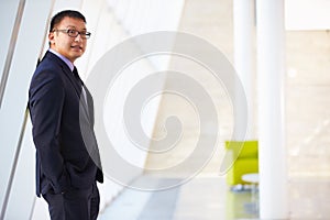 Portrait Of Businessman Standing Modern Office Reception