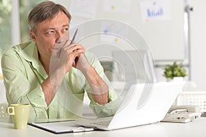 Portrait of a businessman working with laptop at home