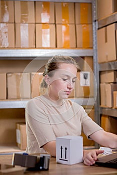 Portrait of a businesswoman holding a box and typing something on a keyboard while preparing package information. Postal