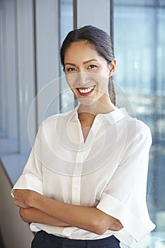 Portrait Of Businesswoman Standing By Window In Office