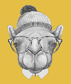 Portrait of Camel with hat and glasses